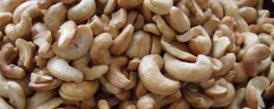 cashew nuts free to use 2a 1200x480