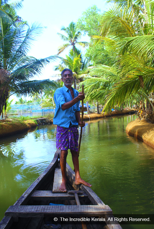 Munroe Island munroe island c