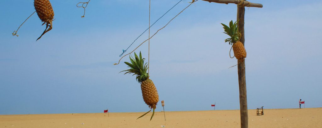Poovar island povaar island a 1200x480