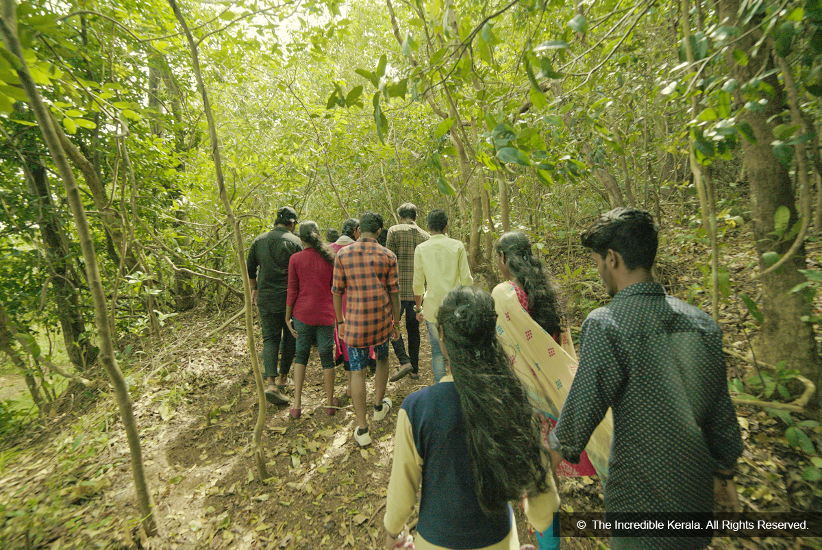 Shendurunney wildlife sanctuary shendurunney wildlife sanctuary a