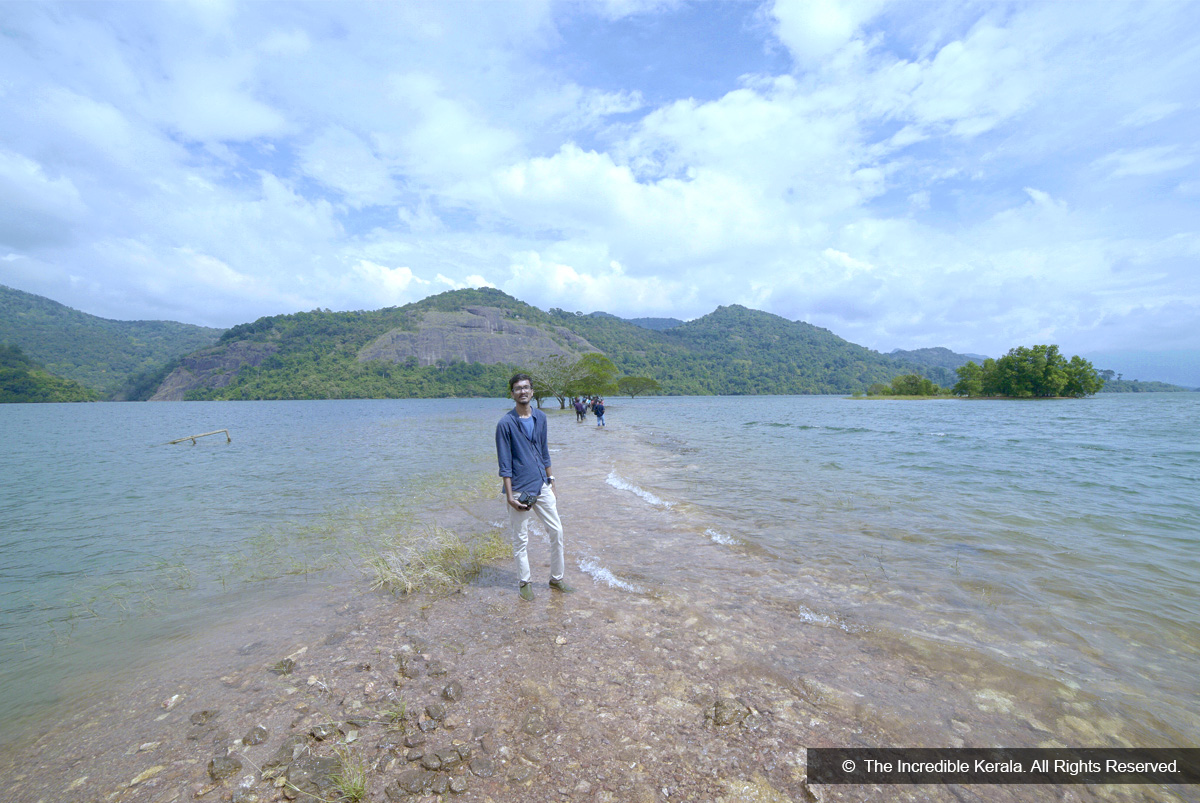 Shendurunney wildlife sanctuary shendurunney wildlife sanctuary d